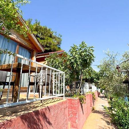 Gaia Bungalow Bed & Breakfast Ayvalik Exterior photo